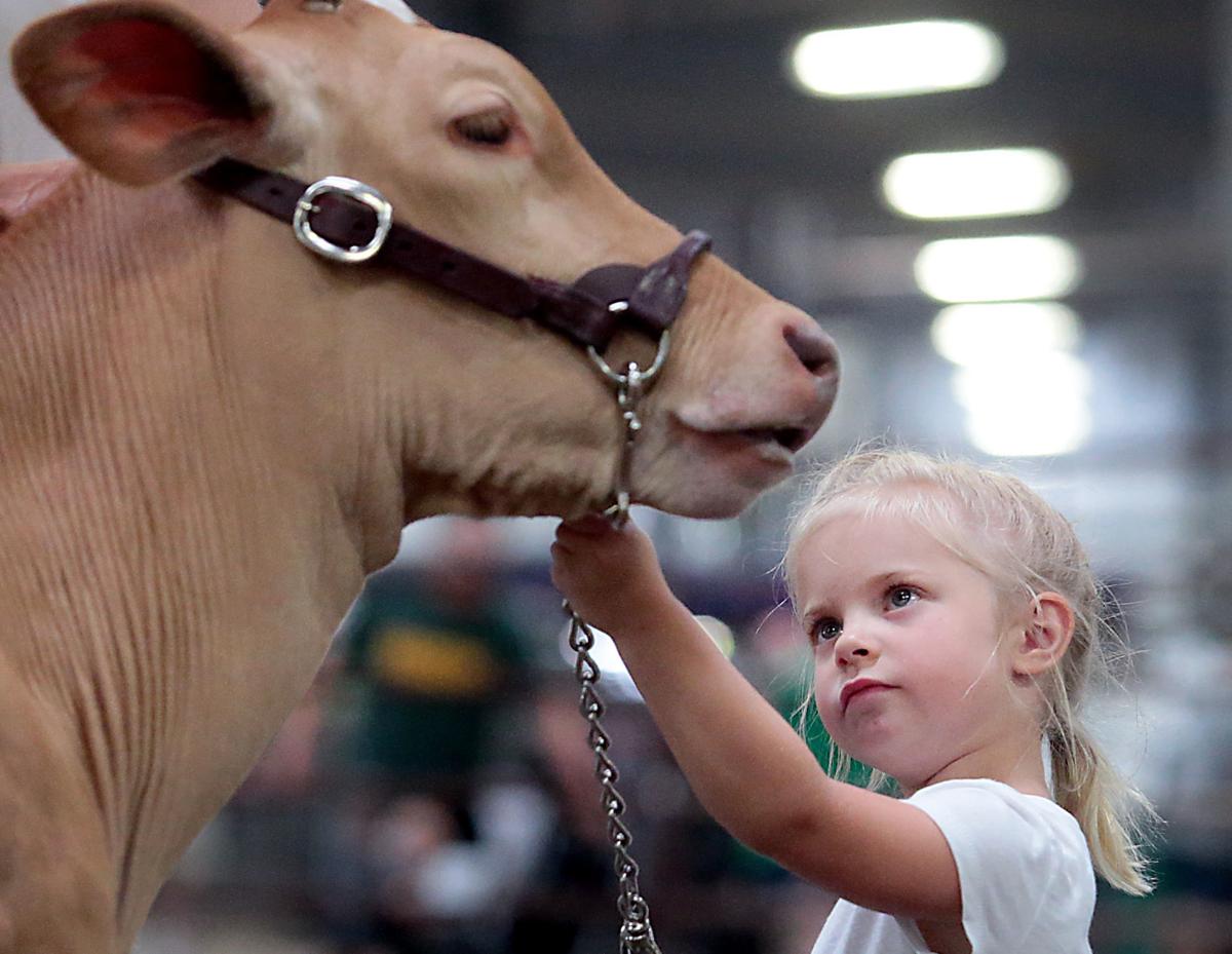  Exotic Spin To Typical Farm Animals Helps Exhibitors Stand Out At 