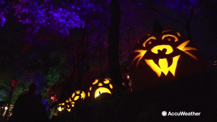 What S More Halloween Than A Jack O Lantern Festival Weather Madison Com