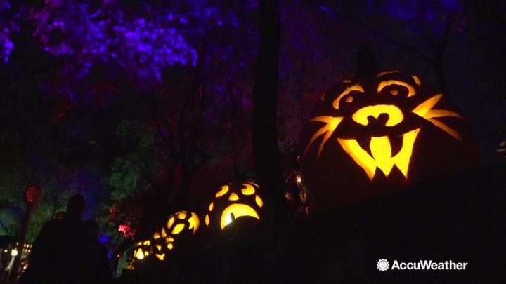What S More Halloween Than A Jack O Lantern Festival Weather Madison Com