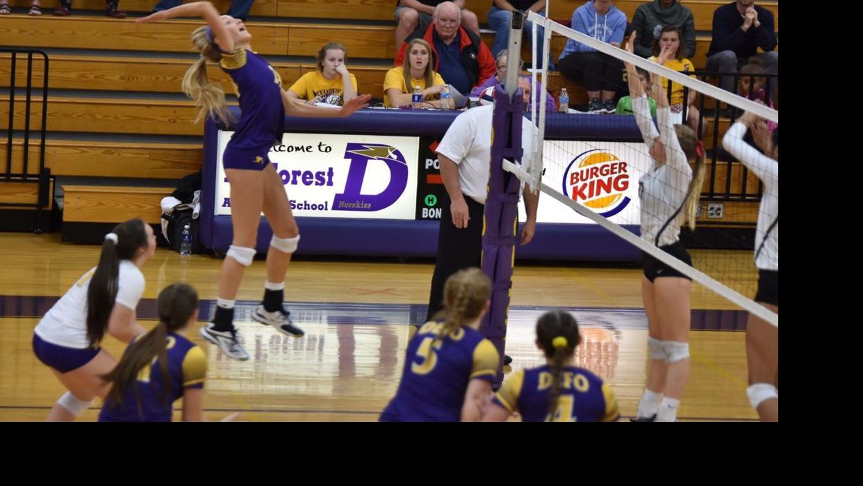 Prep Girls Volleyball Deforest S Sophee Mink Hopes To Reach New