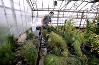 UW Research Pandemic 5