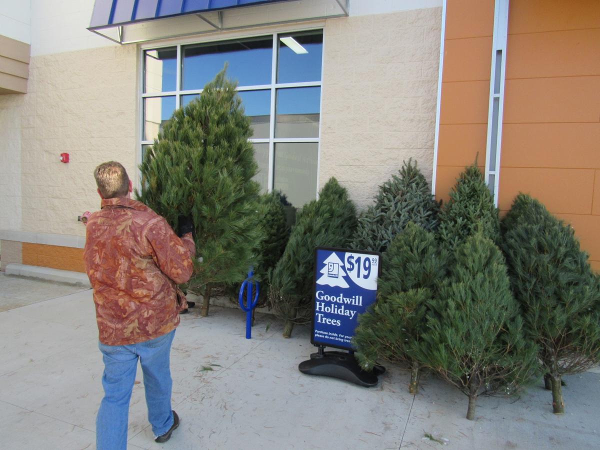Does goodwill sell christmas trees
