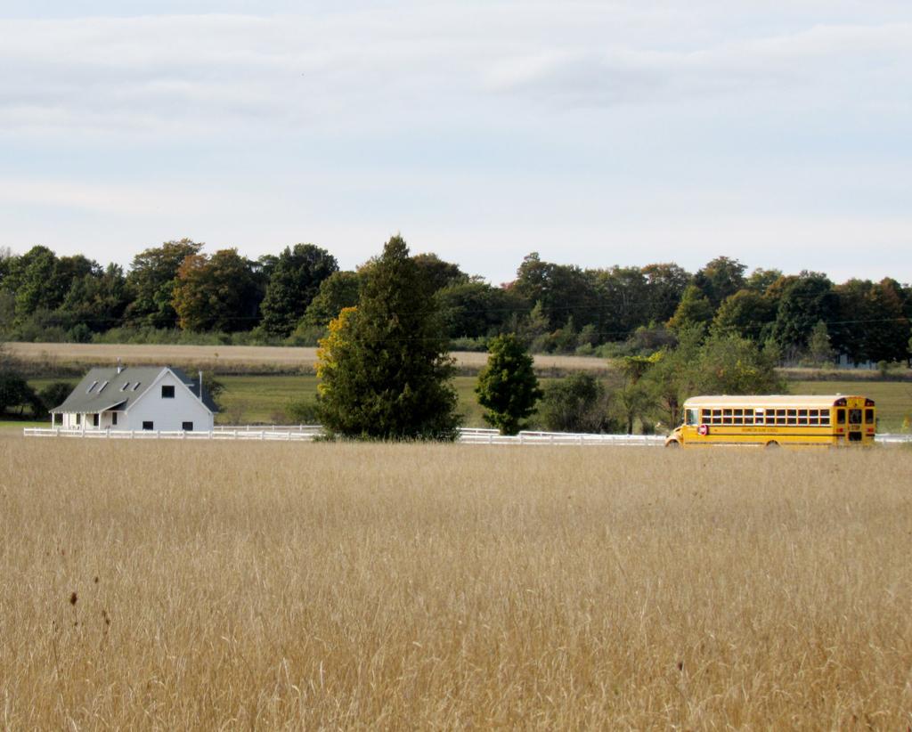 Tom Still What Can Lure People To Rural Areas Business News Madison Com The art while decent for the most part seems a little weird in certain panels.for example on the cover animal man looks to be in his 60s and i'm pretty sure that's. lure people to rural areas