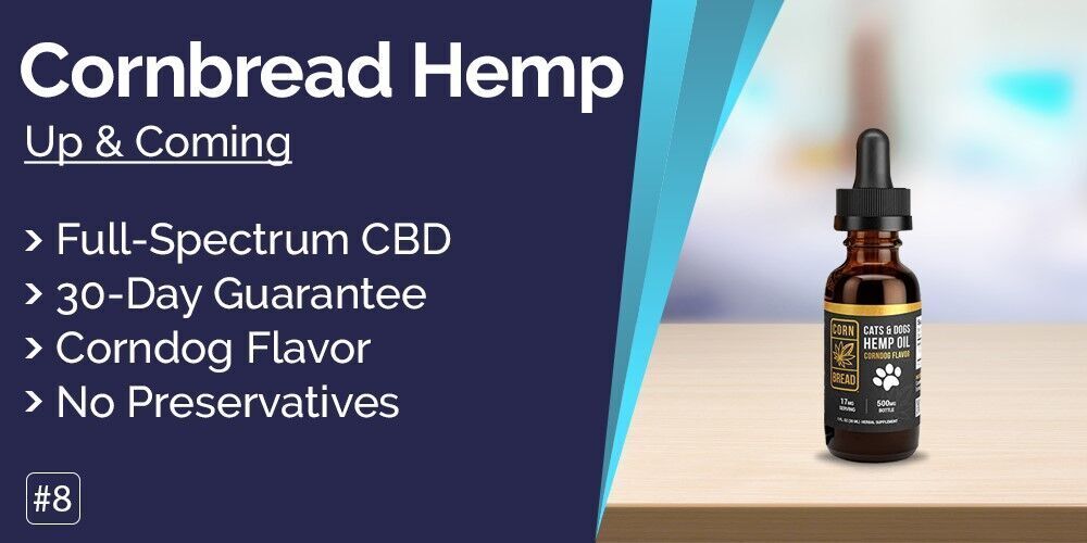 Originated Media_Best CBD oil for dogs_img8.jpg
