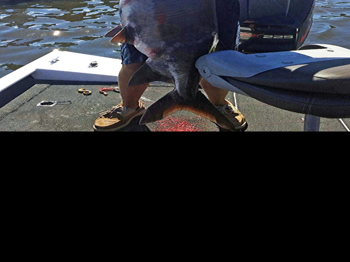 Patrick Durkin Middleton Boys Haul In Quickly Release Huge Paddlefish On Wisconsin River Columnist Madison Com