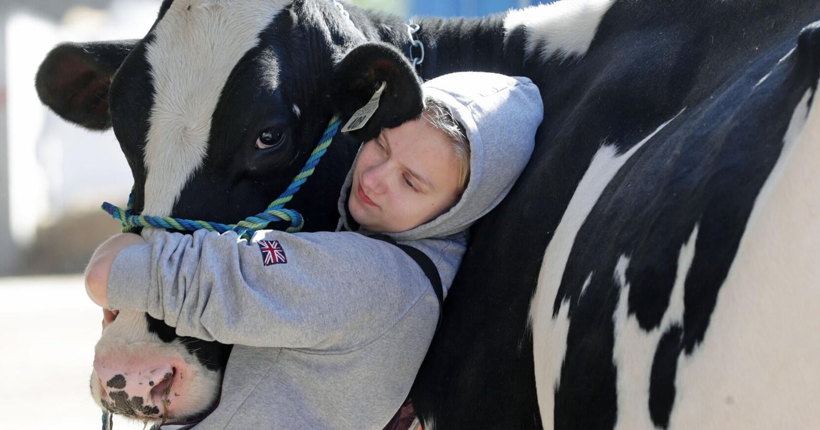 World Dairy Expo is staying in Madison - Vimarsana News