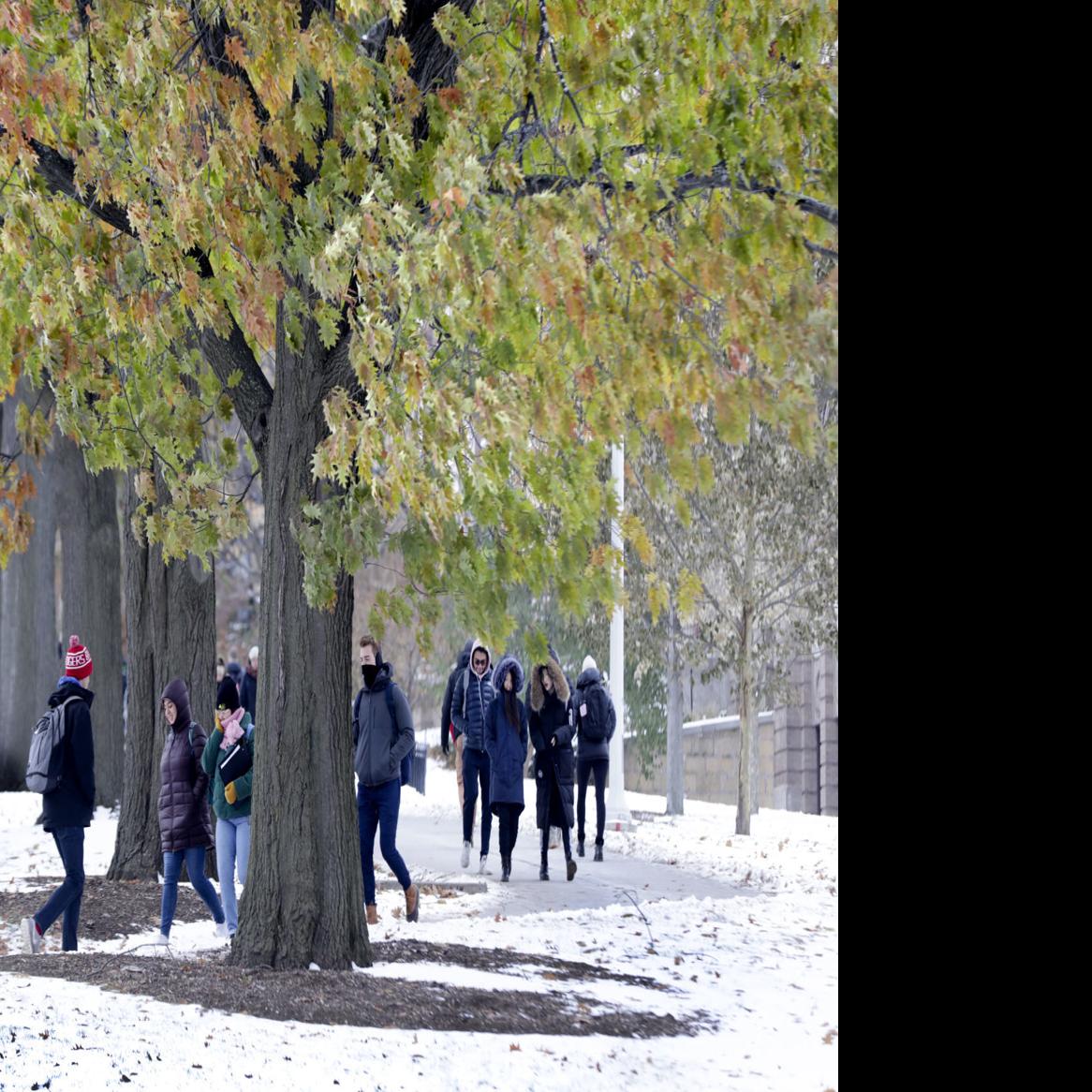 Ice Continues To Be Made As Overnight Lows Plunge Again Local
