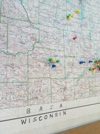 CA-WI-picnic_bajaWI_Teddy Nykiel.jpg