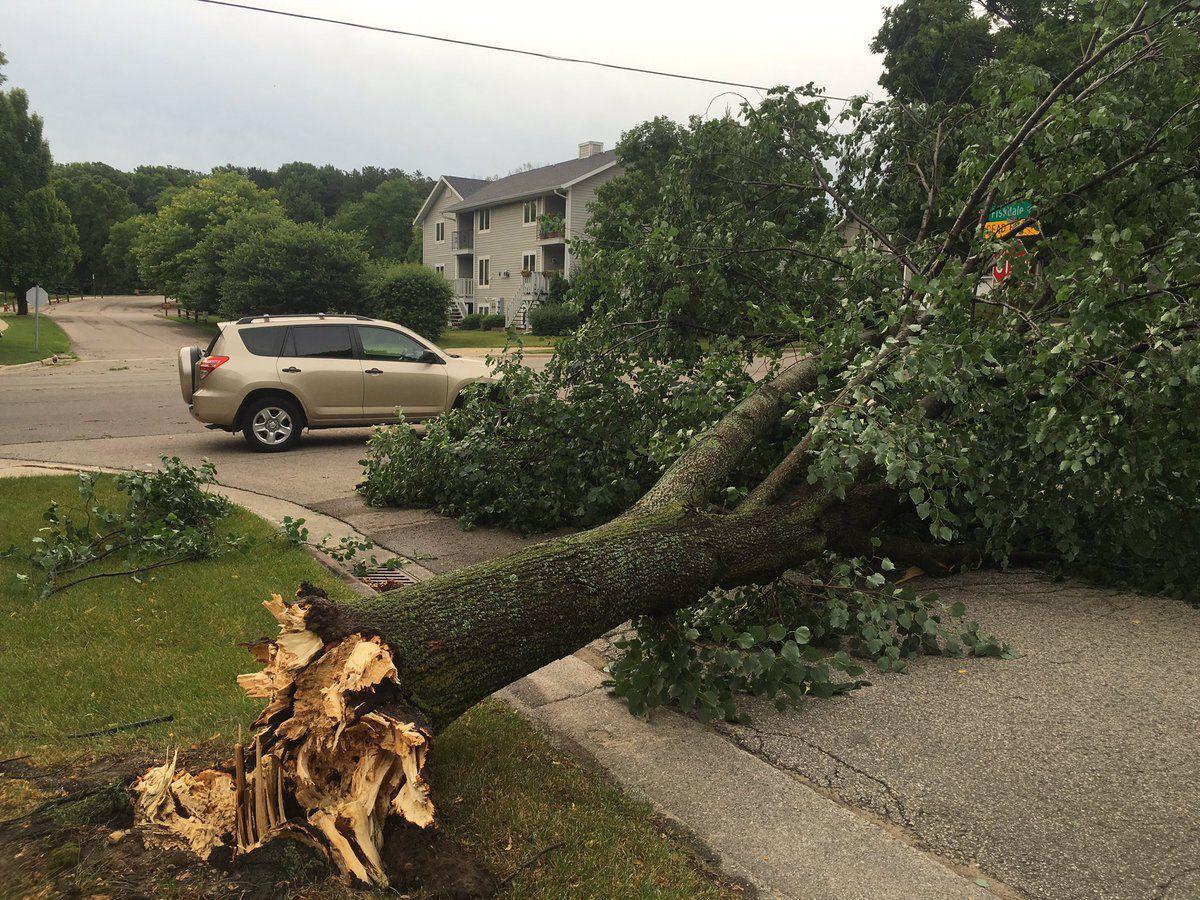 Extra Crews Assigned To Collect Storm Damaged Tree Debris In Madison Local News Madison Com