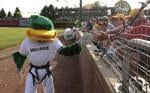 Dal diamante del baseball ai successi di Hollywood: Il Duck Pond di Madison diventerà un cinema drive-in's Duck Pond to become drive-in theater