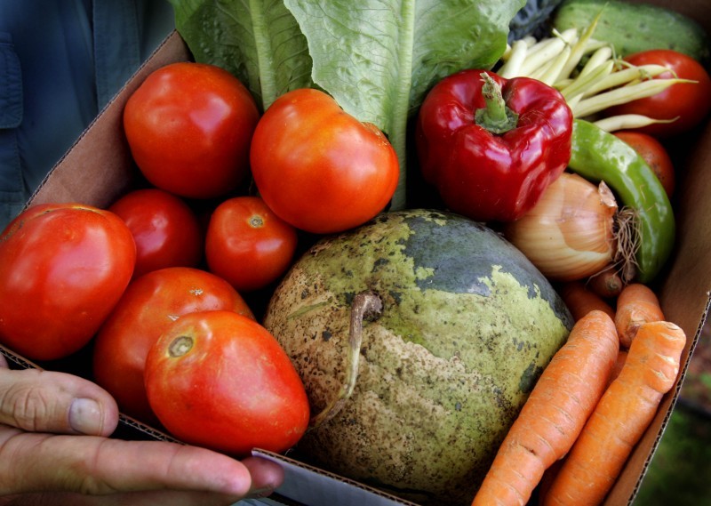 Dane County Pantry Brigade Helps Bring Fresh Local Produce To