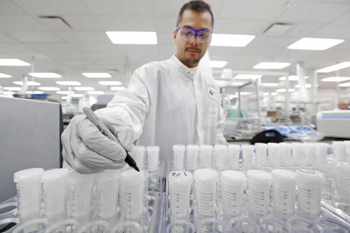 Exact Sciences