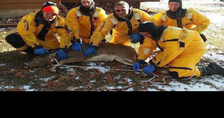 Lawmaker rips DNR for getting firefighters to rescue 'stupid deer ...