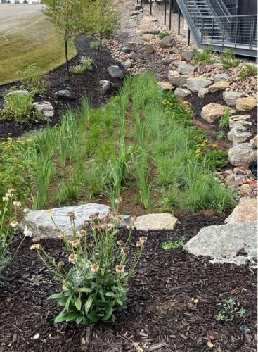 Stormwater Protection and Resources