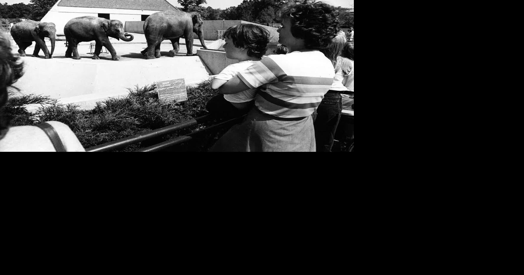 Photos: Vilas Zoo throughout the years
