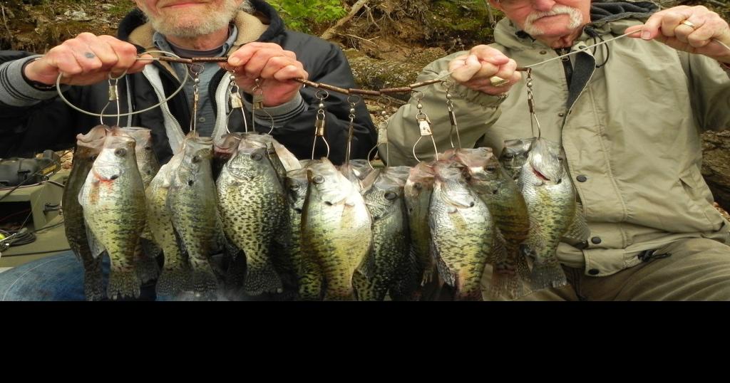 Outdoors: Heavenly crappie fishing at Lake of the Ozarks