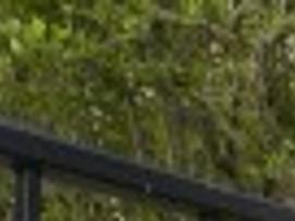 Just Ask Us What Are The Guidelines For Installing A Fence Local News Madison Com