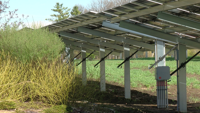 Madison College hosts ribbon cutting for solar array and energy storage system