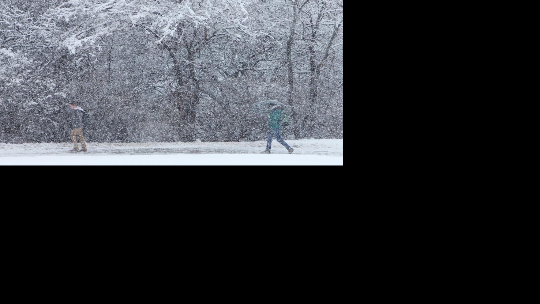 Sen. Jeff Smith: It's cold outside for our furry friends ...