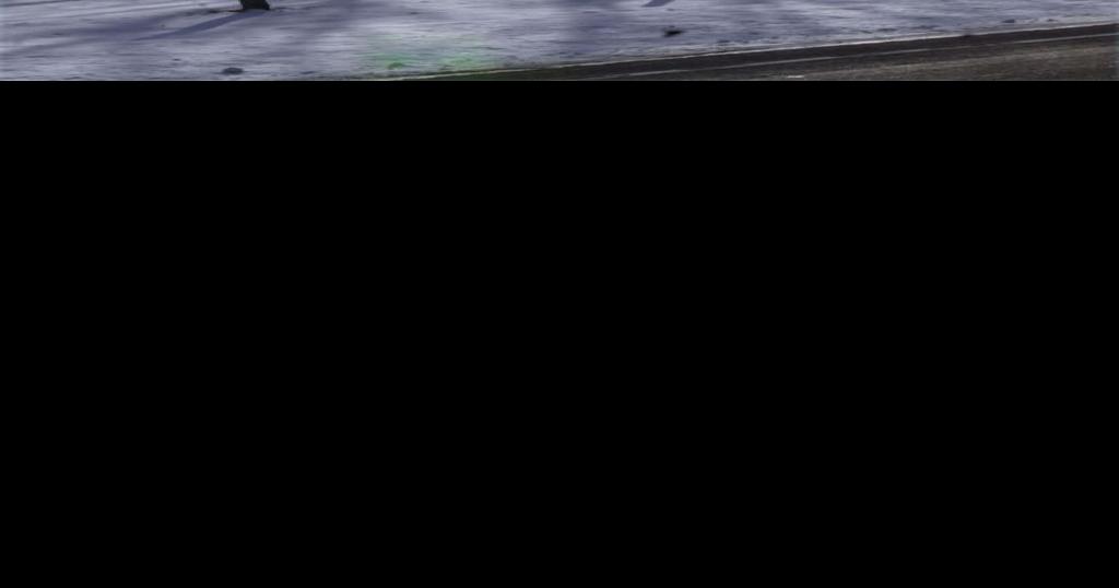 Ask the Weather Guys Why does snow melt around the bases of trees?