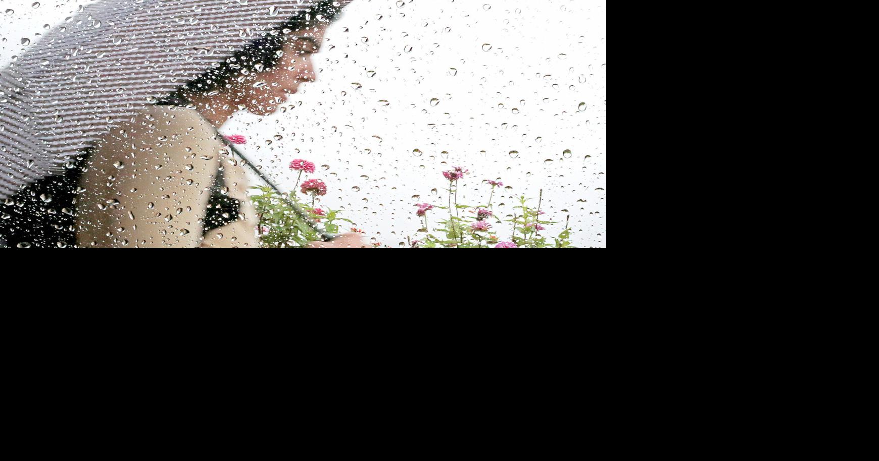 2018 ends as second-wettest year recorded in Madison