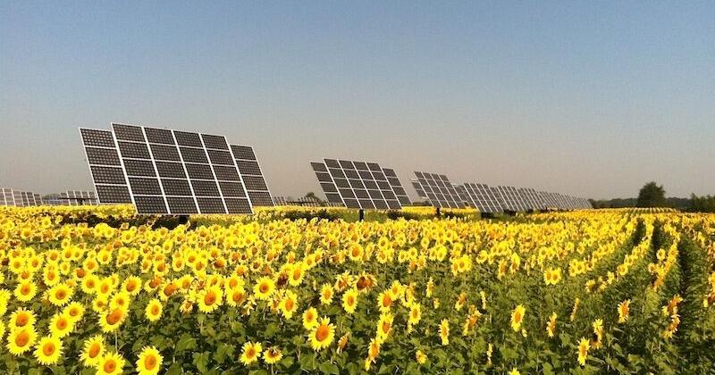 Lynn Wingers: Let solar energy shine for Wisconsin's farmers - Vimarsana News