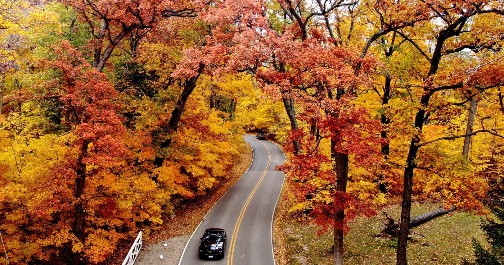 Here the the best fall colors near Madison, Wisconsin - Vimarsana News