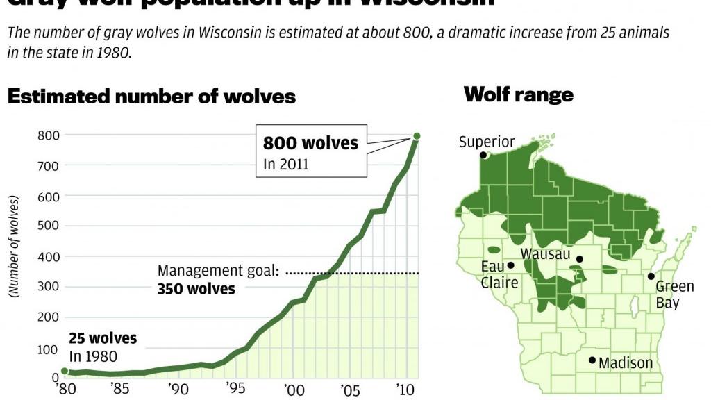 Wolf Population Graphic Chart Map 5 8 11 Madison Com