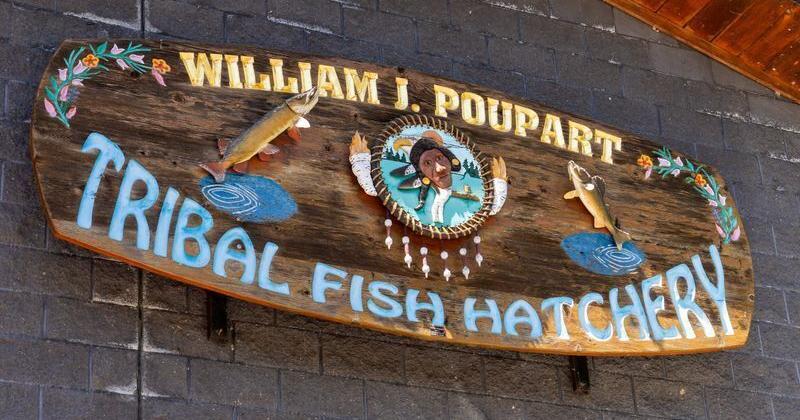 Homeowners sue Lac du Flambeau for closing boat launch on reservation in northern Wisconsin Frank Vaisvilas Milwaukee Journal Sentinel Jul 11, 2026 3 hrs ago