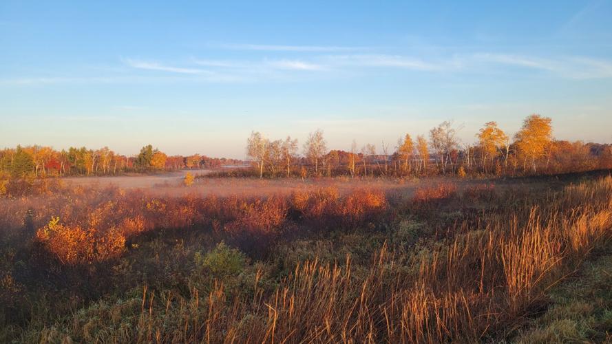 Crex Meadows Fog_Britta Petersen.jpg