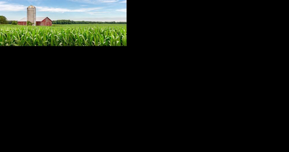 Anthony Pahnke: Seed bill good for farmers and our food - Vimarsana News