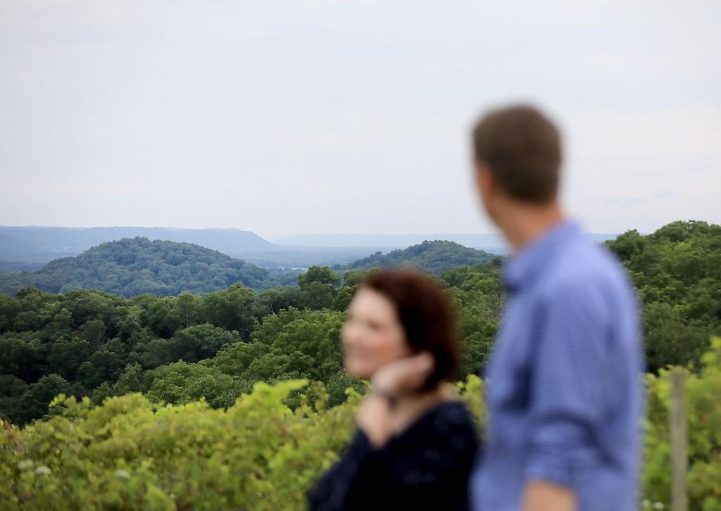 New Wineries Tout Their Views And Alter Their Business Plans Amid Covid 19 Pandemic Business News Madison Com