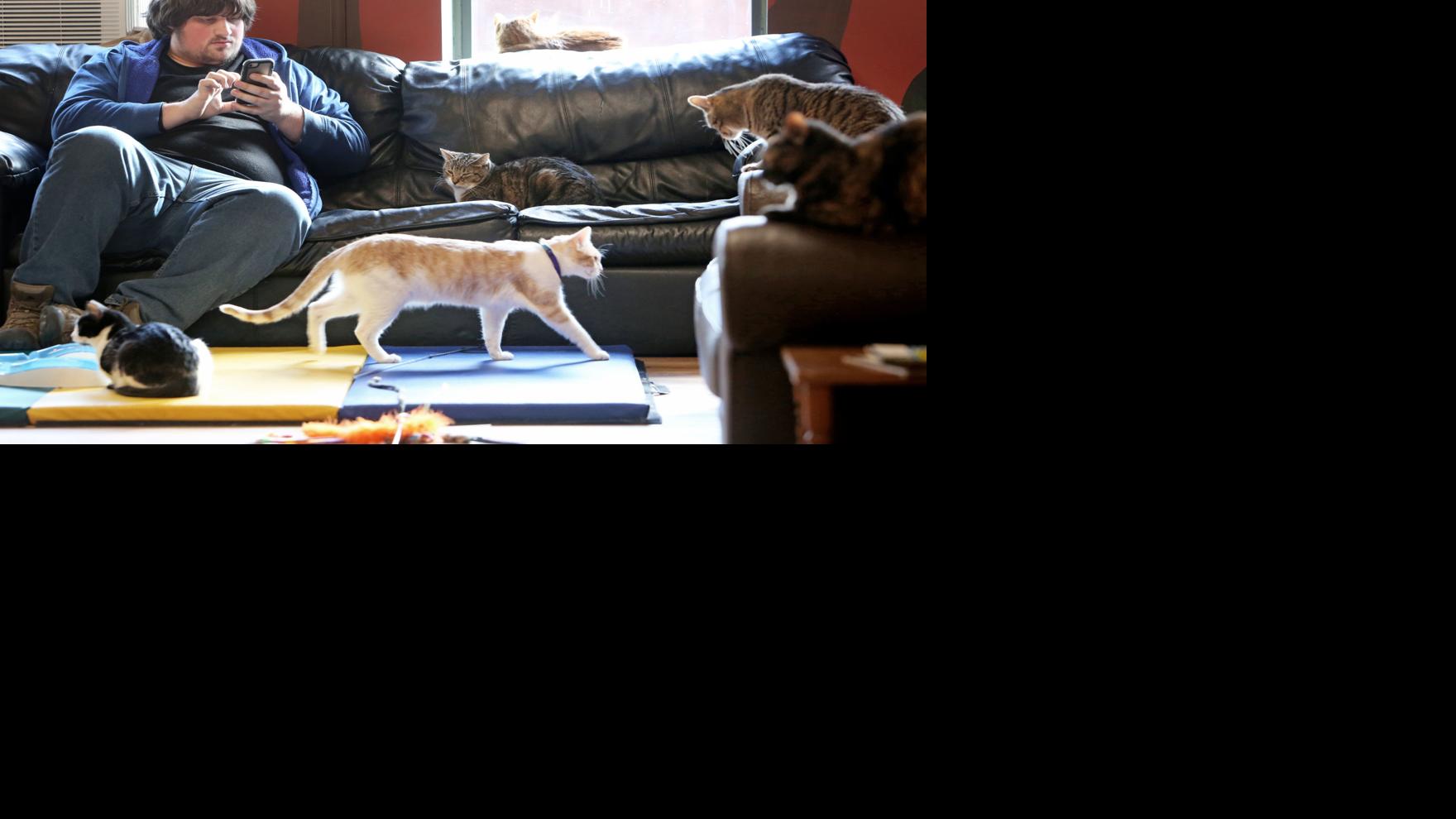 Just Ask Us Where Can I Get Low Cost Spay Or Neuter Services For