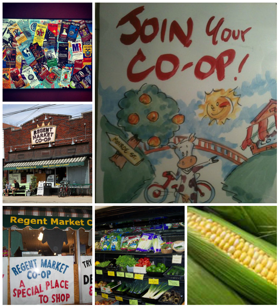 collage511.jpg