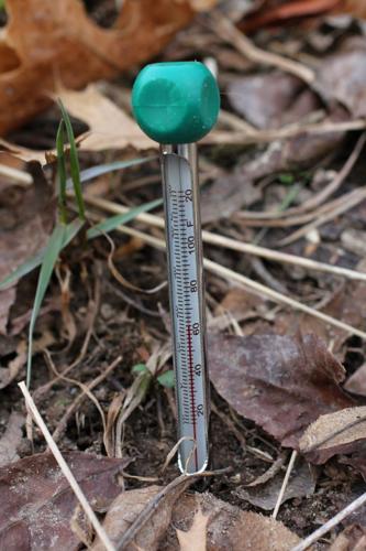 Thermometer For Measuring Soil Temperatures Photograph by Jerry