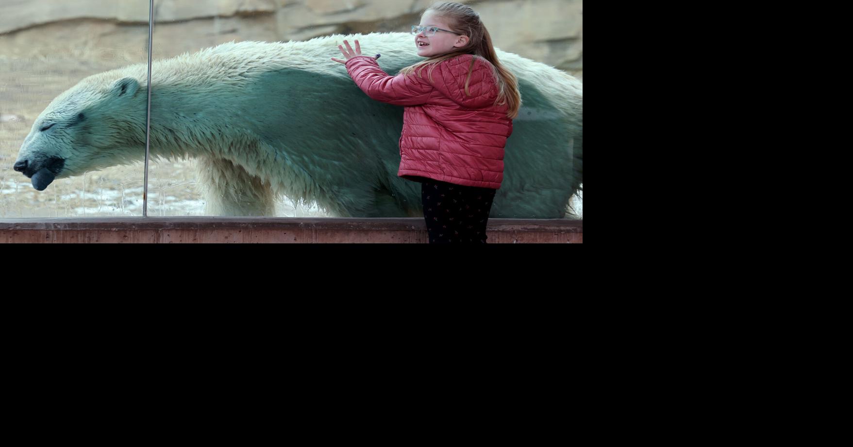 Photos: Arctic Passage at Henry Vilas Zoo