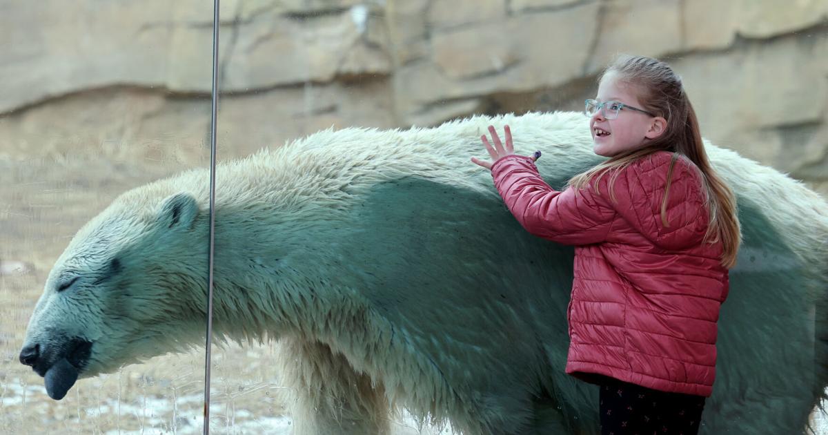 Photos: Arctic Passage at Henry Vilas Zoo