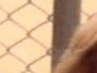 Vorwald Vanda F Madison Obituaries Madison Com