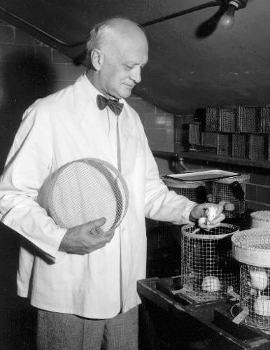Harry Steenbock