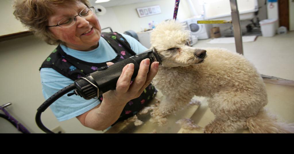 Does Dog Hair Keep Snakes Away