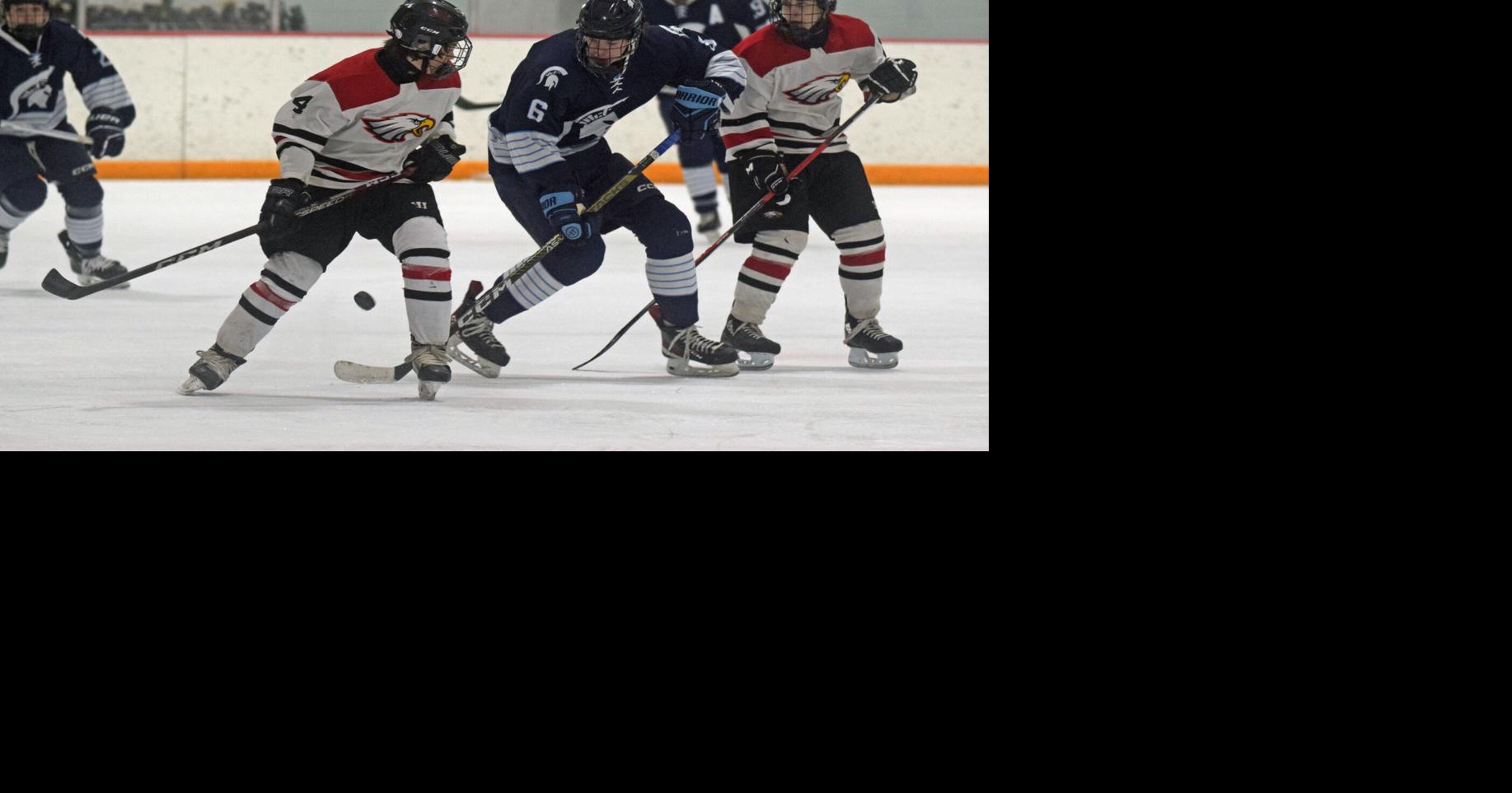 Madison and WiscNewsarea high school boys hockey 'grinders'