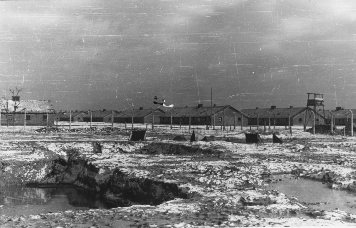 Today Iin History Jan 27 Auschwitz Birkenau History Madison Com