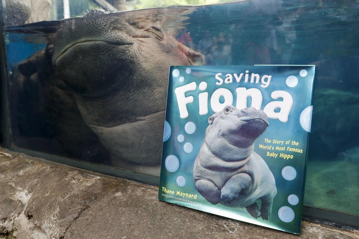 Photos Fiona The Hippo Celebrates 4th Birthday National News Madison Com