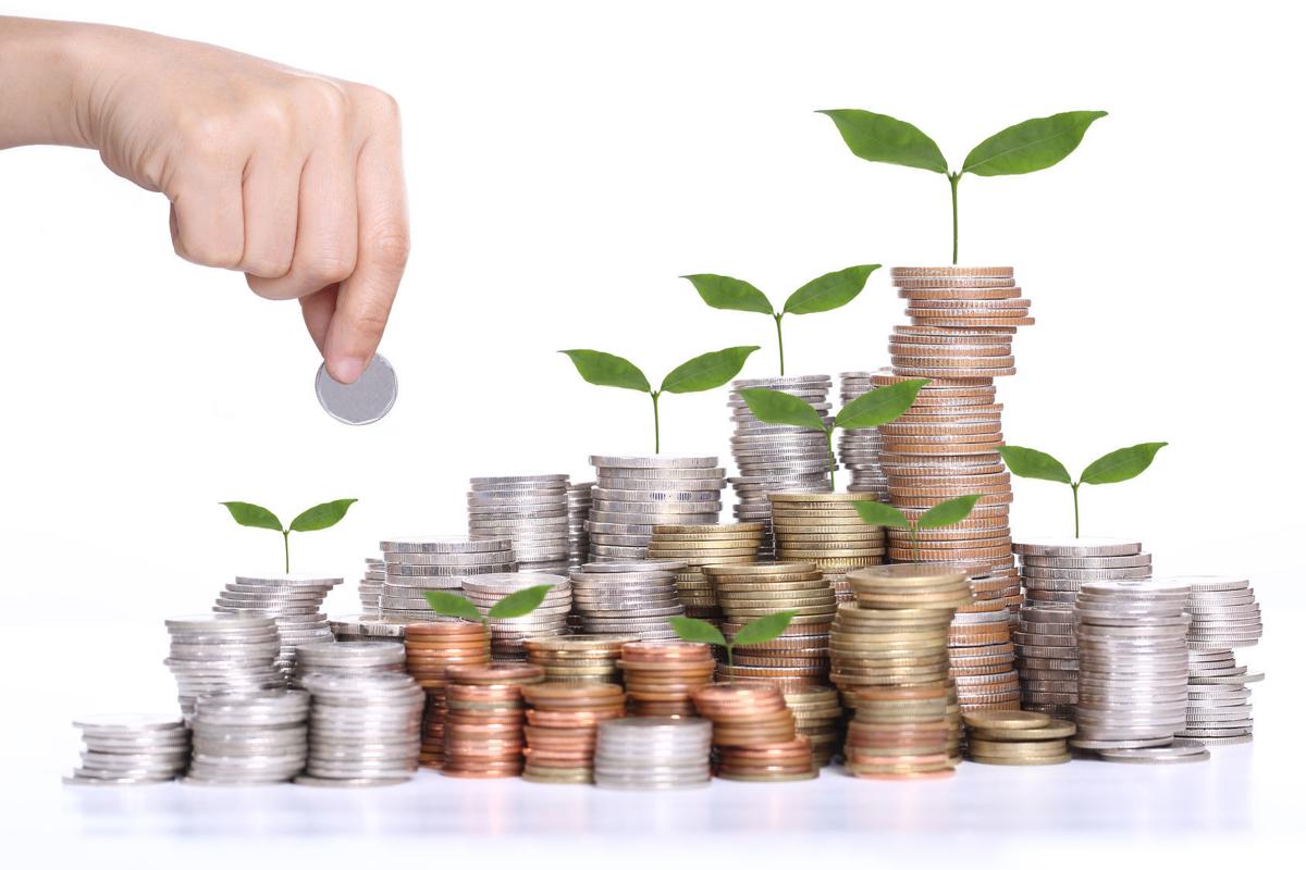 Coins and plants (copy) (copy)