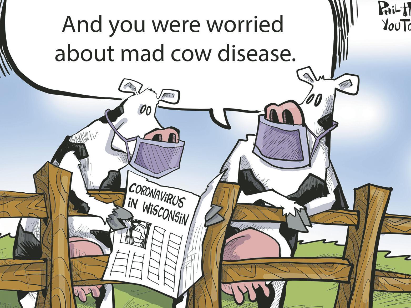 Mad Cow Disease Funny Video