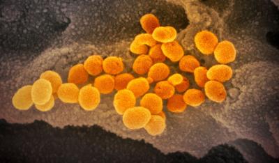 Vaccine update: 10 charts that show how Dane County is coping with COVID-19