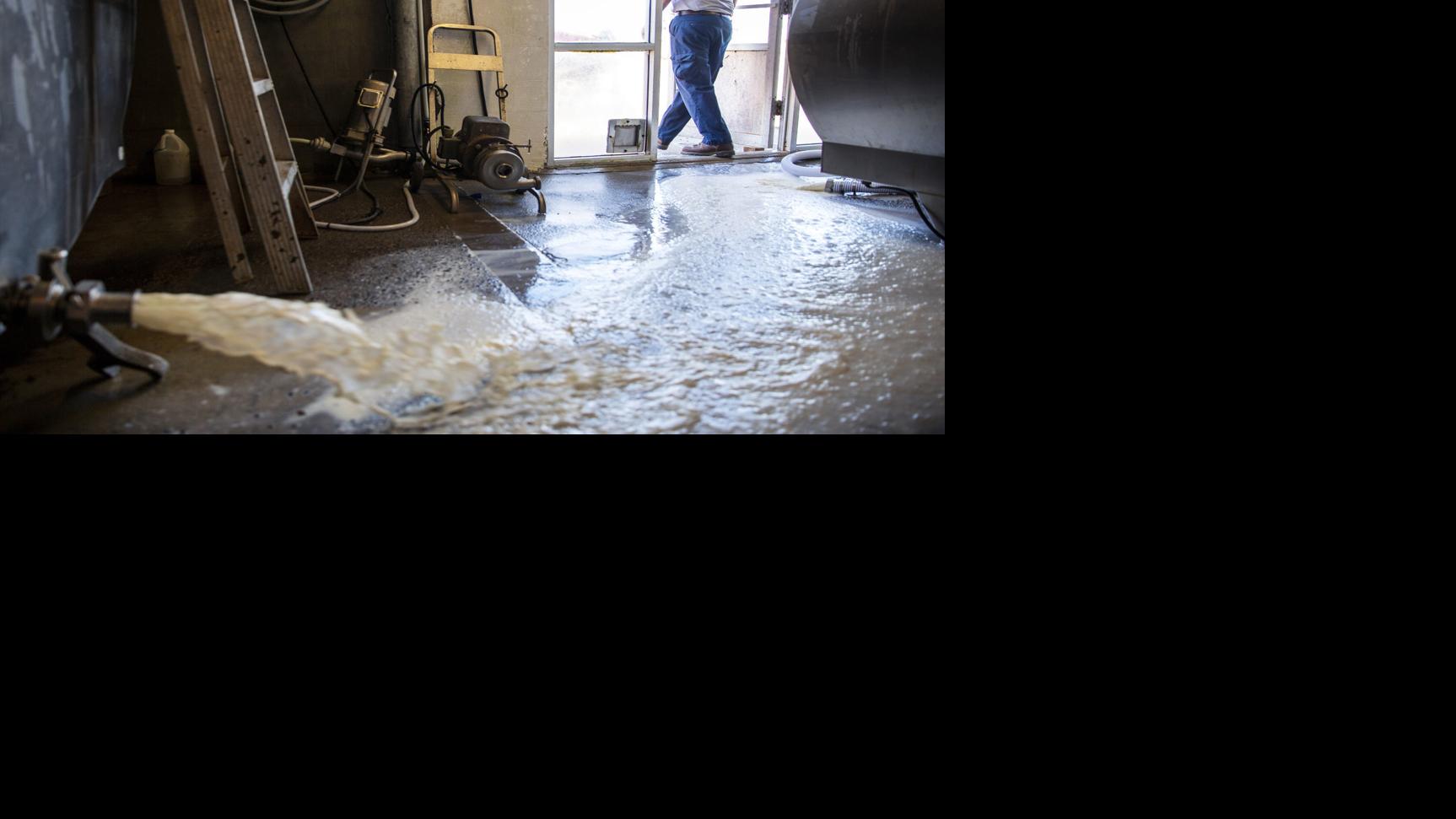 Things Were Looking Up For Dairy Farmers Then Covid 19 Pandemic Disrupted The Global Economy Business News Madison Com
