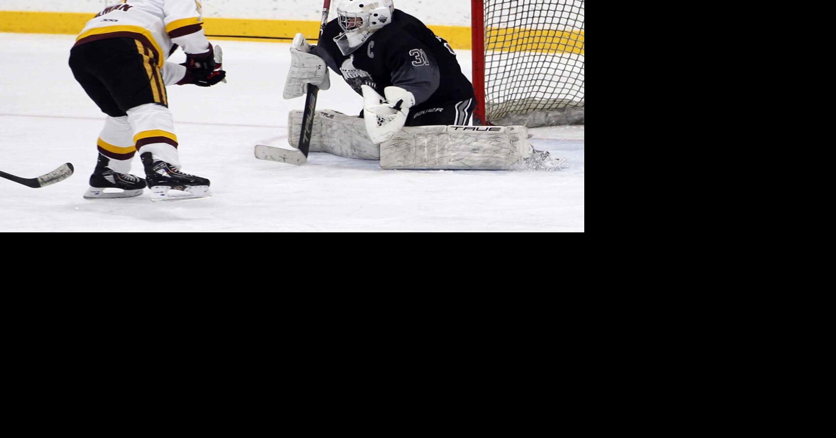 Cap City girls hockey books ticket to state with shutout of Beaver Dam