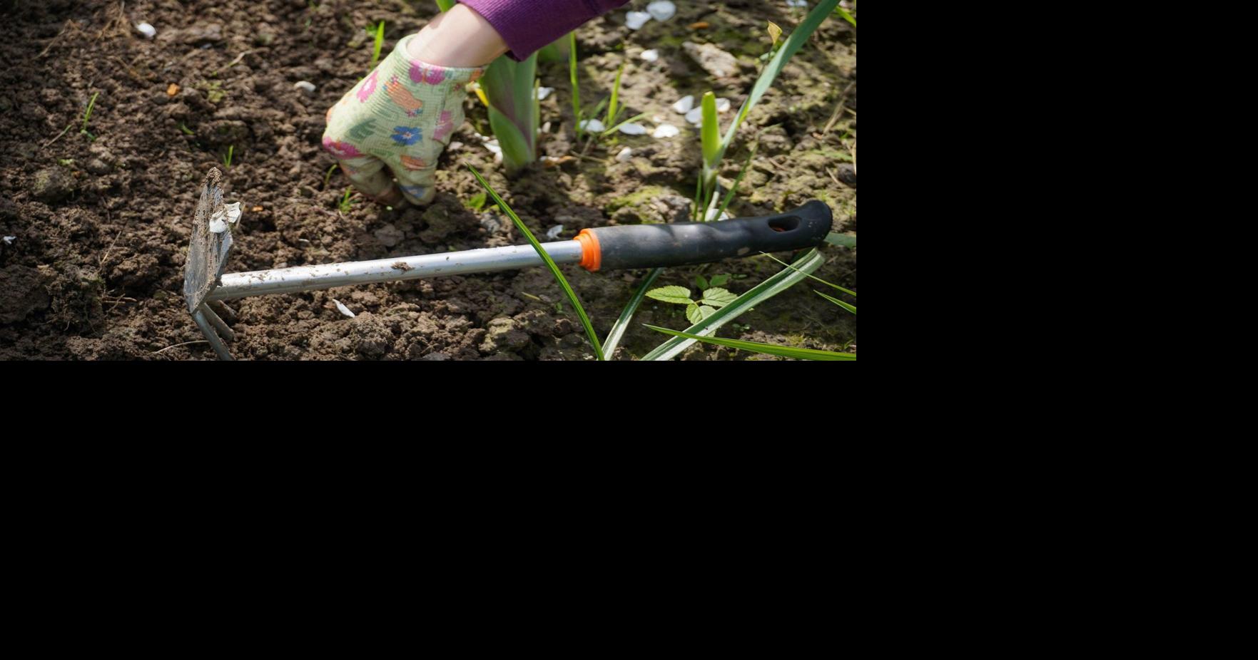 Garden calendar: For the week of April 20 It's a good time now to get your garden ready Apr 20, 2025 43 sec ago