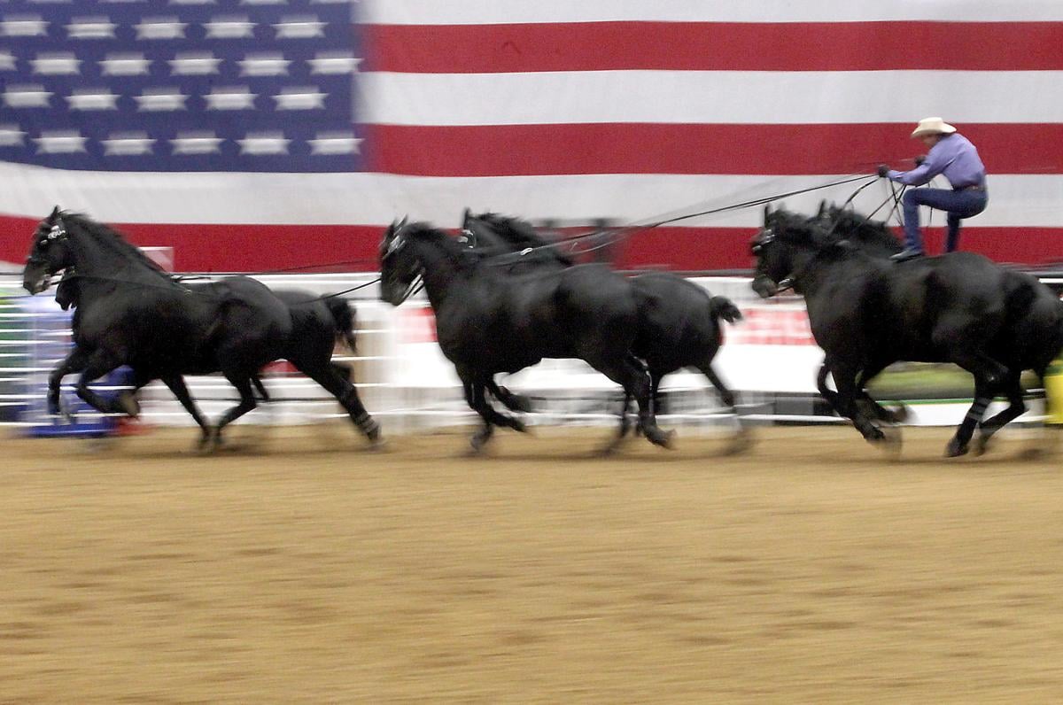Midwest Horse Fair offers equine everything Entertainment